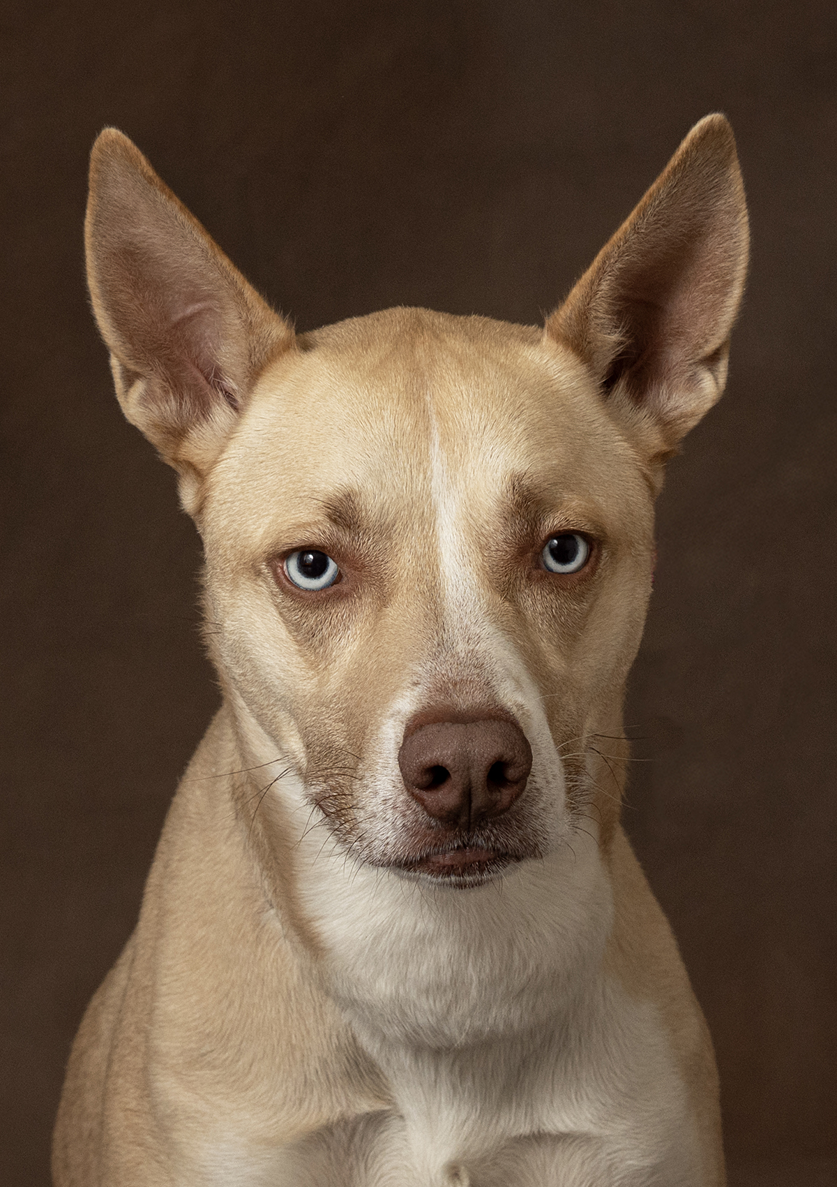 Kupka Photography_DSC_0938 4.8 6.8